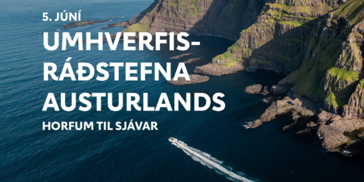 Stækka mynd