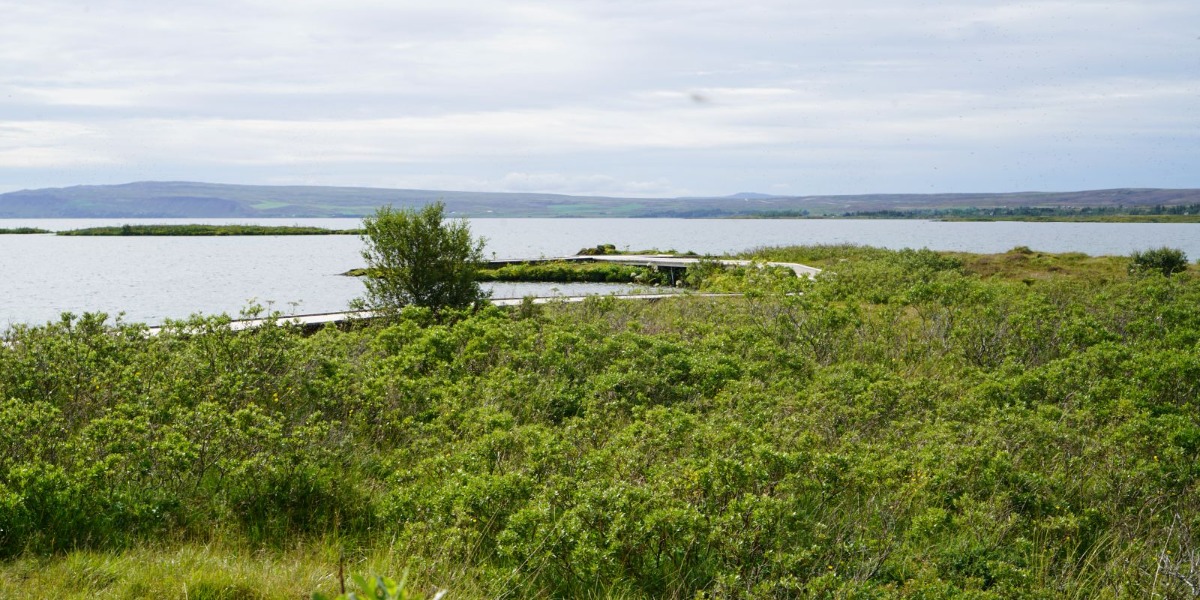 Stækka mynd