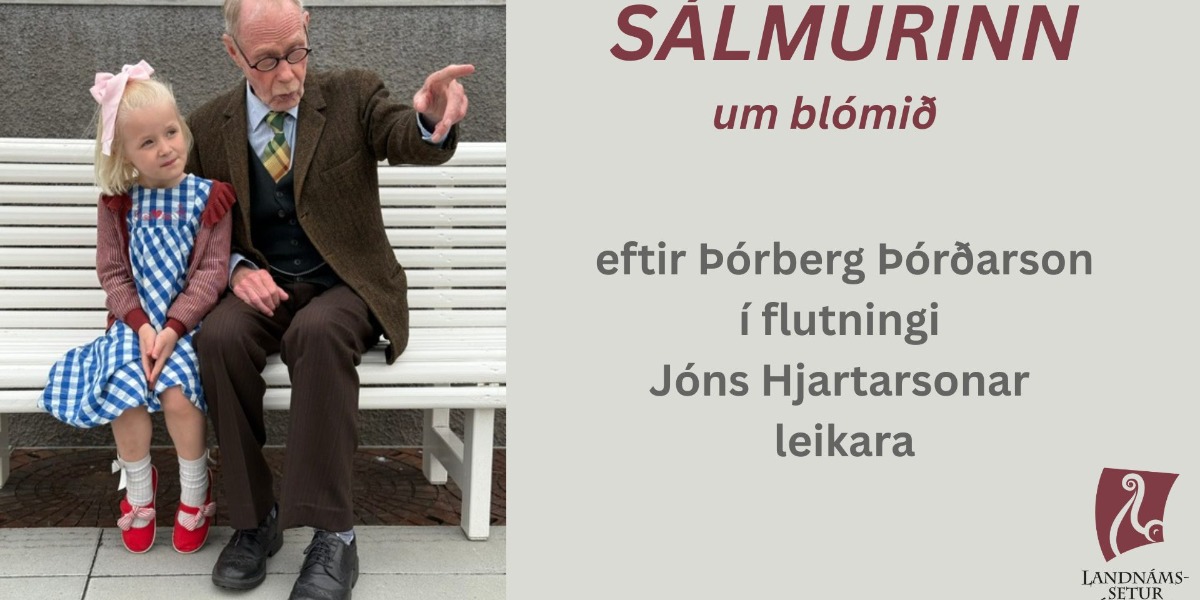 Stækka mynd