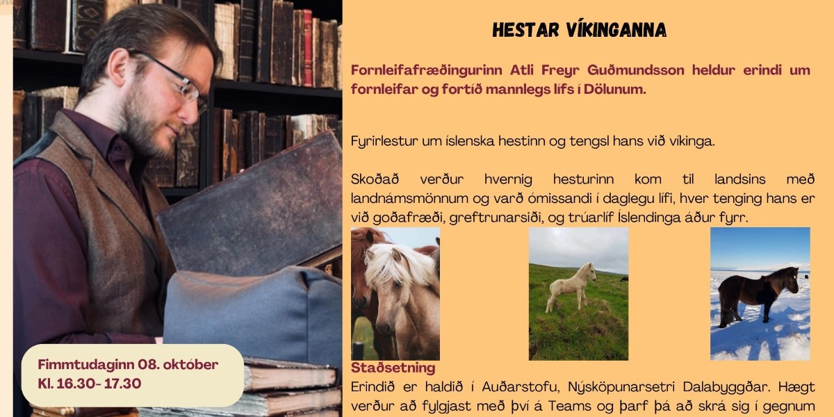 Stækka mynd